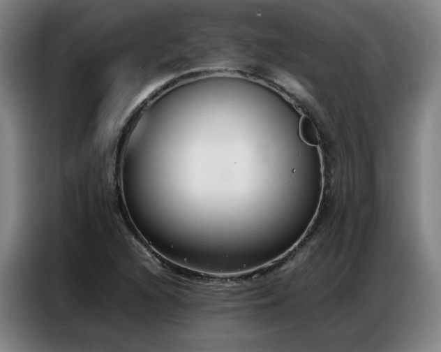 X0000087321216200704201104