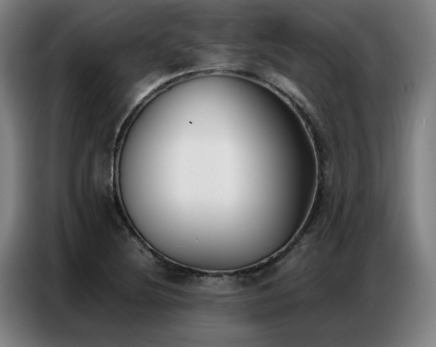 X0000087321220200704201104