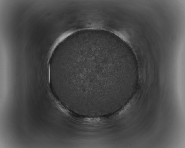 X0000087321223200704201104