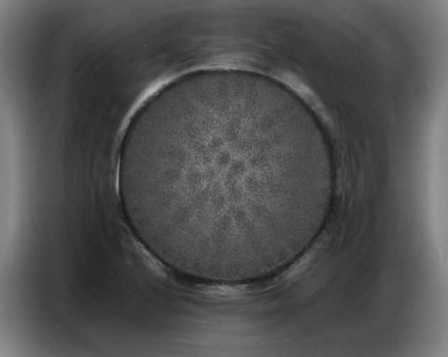 X0000087321224200704201104
