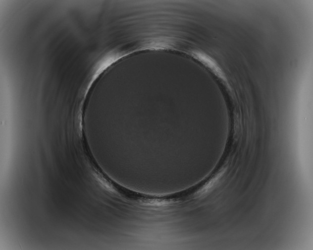 X0000087321226200704201104