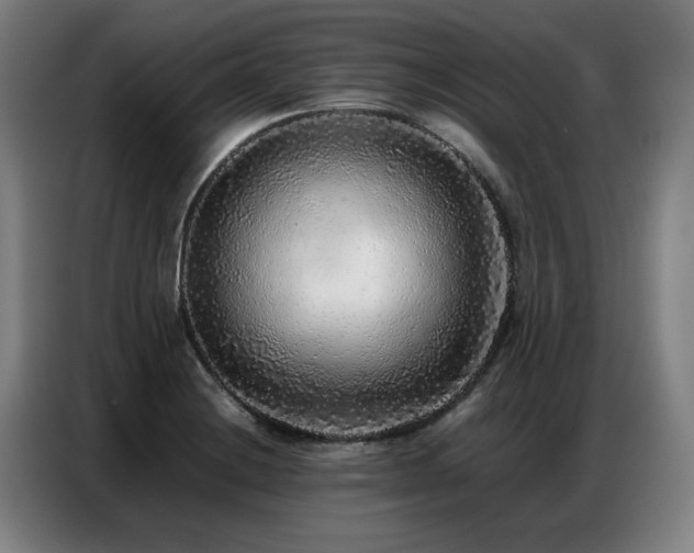 X0000087321228200704201104