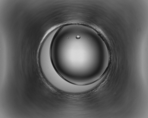 X0000087321230200704201104