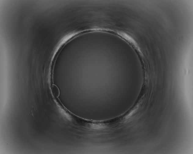 X0000087321231200704201104