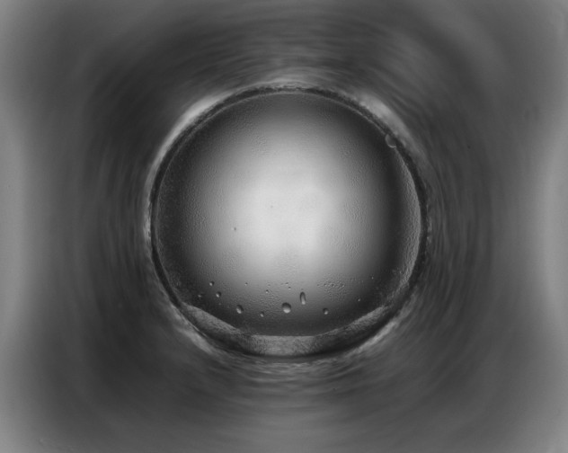 X0000087321232200704201104