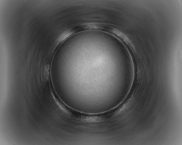 X0000087321233200704201104