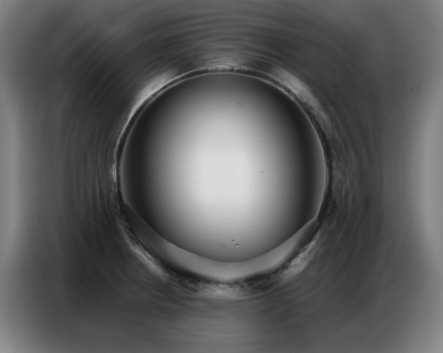 X0000087321234200704201104