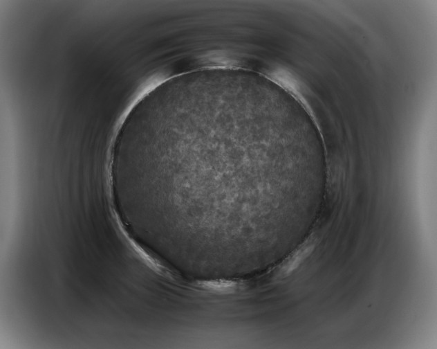 X0000087321235200704201104