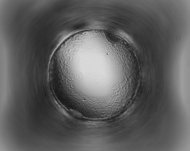 X0000087321236200704201104