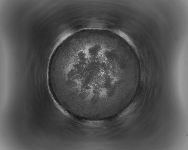 X0000087321237200704201104