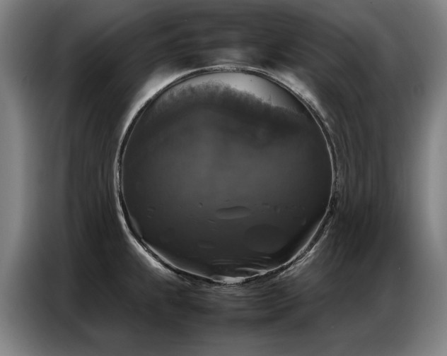 X0000087321239200704201105