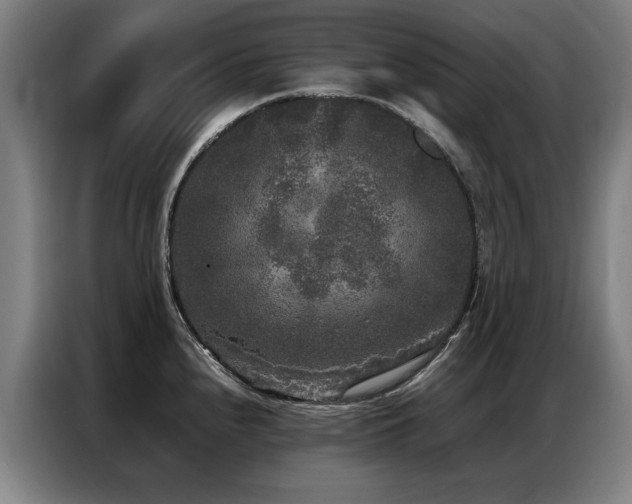 X0000087321240200704201105