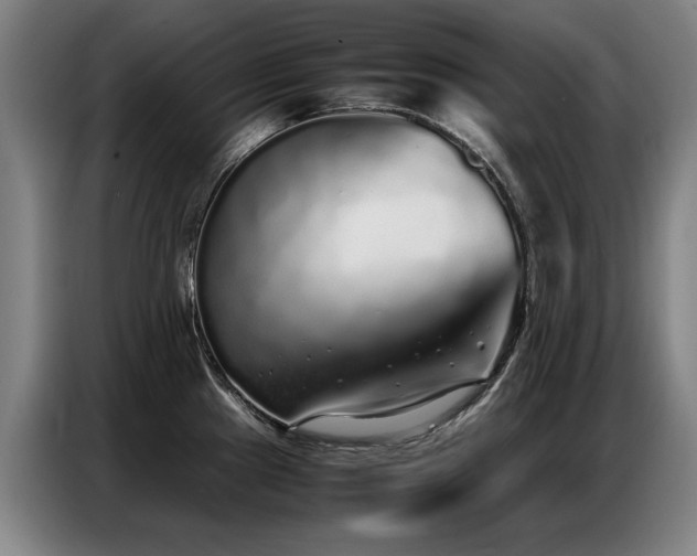 X0000087321241200704201105
