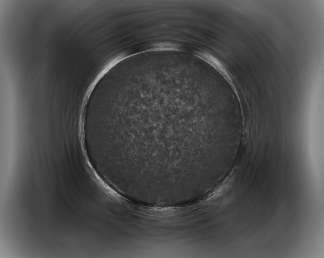 X0000087321243200704201105