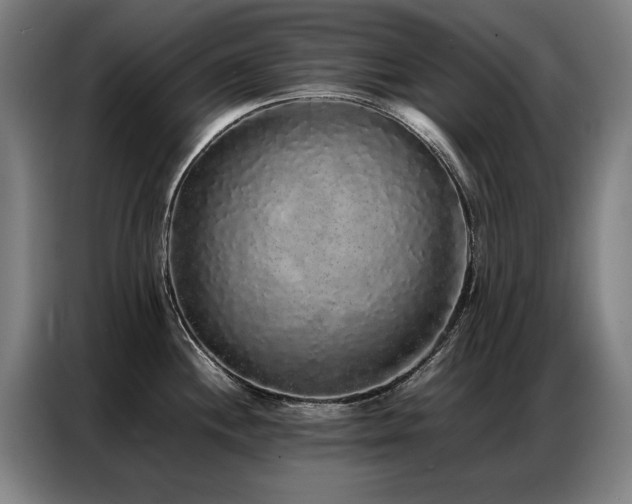 X0000087321244200704201105