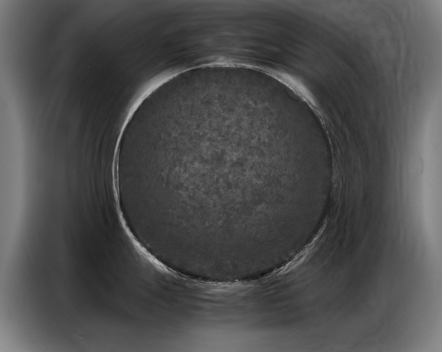 X0000087321247200704201105