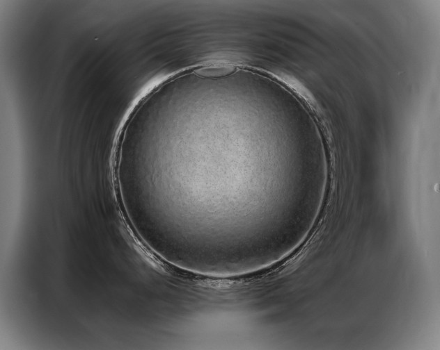 X0000087321248200704201105