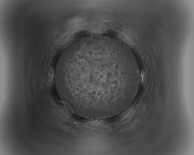 X0000087321251200704201104