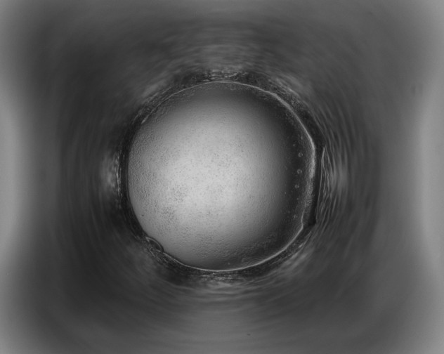 X0000087321252200704201104