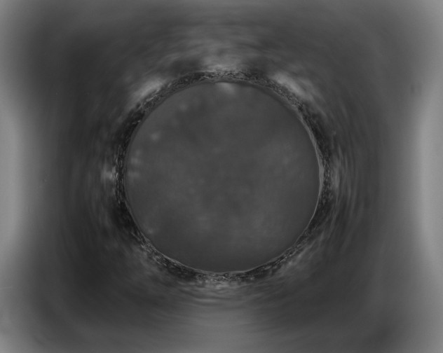 X0000087321254200704201104
