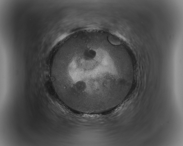 X0000087321255200704201104