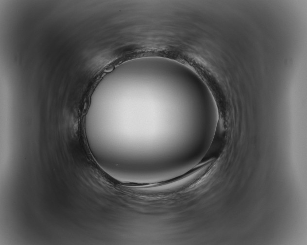 X0000087321257200704201104