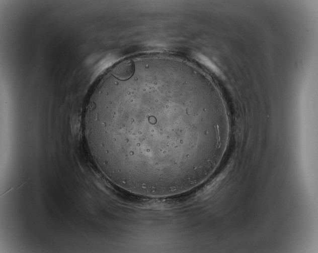 X0000087321259200704201104