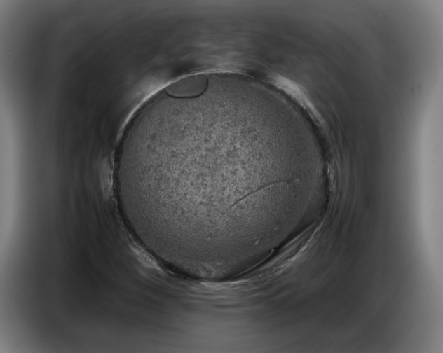 X0000087321260200704201104