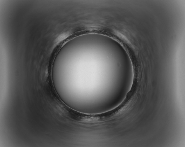 X0000087321261200704201104