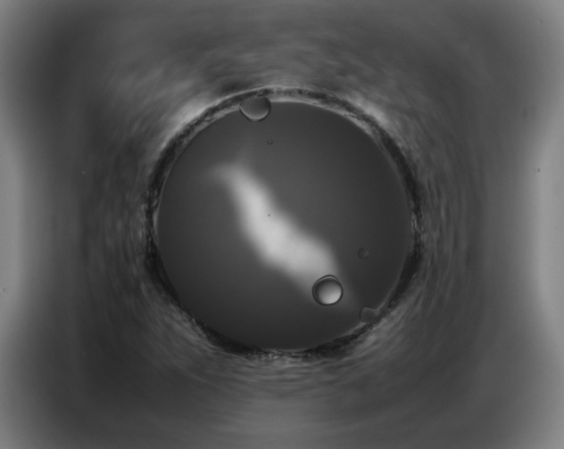X0000087321263200704201104