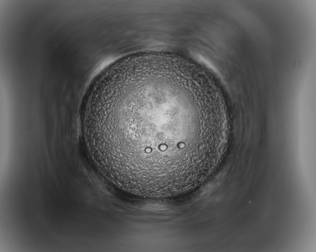 X0000087321267200704201104