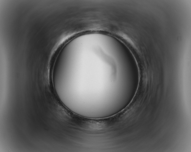 X0000087321270200704201104