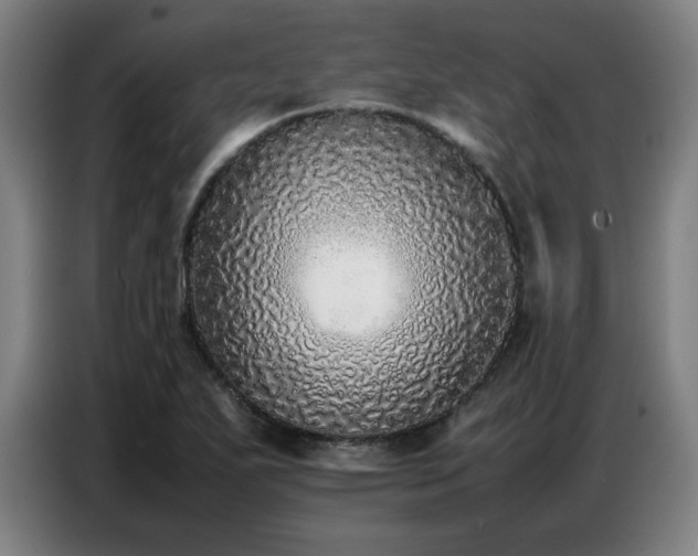 X0000087321271200704201104