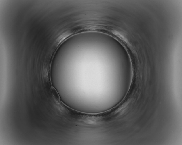 X0000087321273200704201104