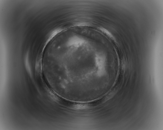 X0000087321274200704201104