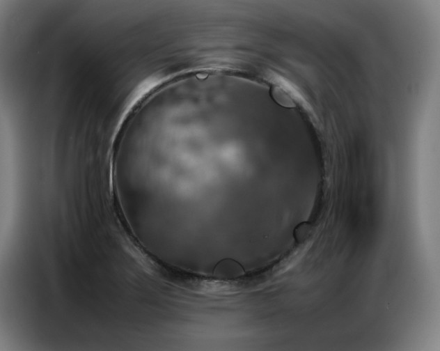 X0000087321275200704201104