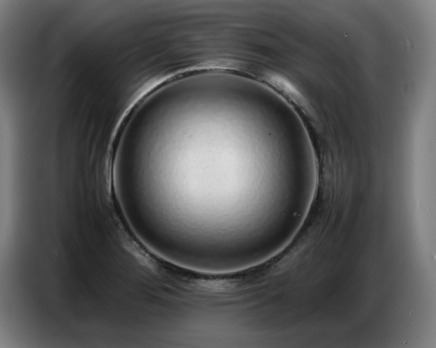 X0000087321276200704201104