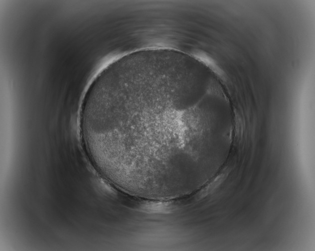 X0000087321278200704201104
