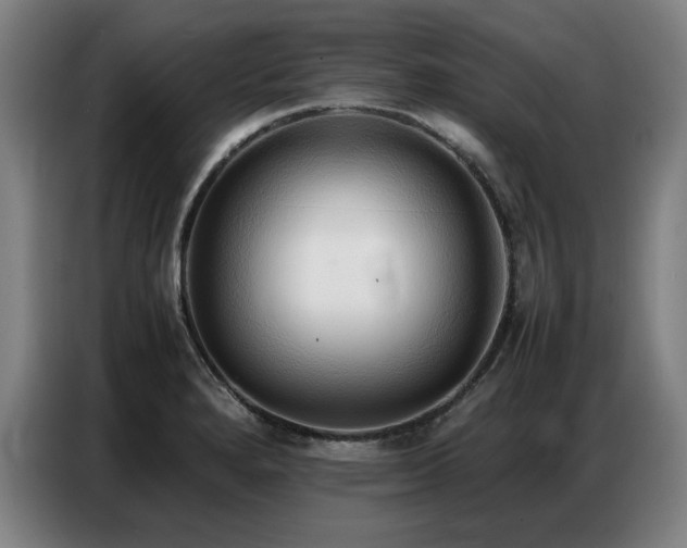 X0000087321280200704201104