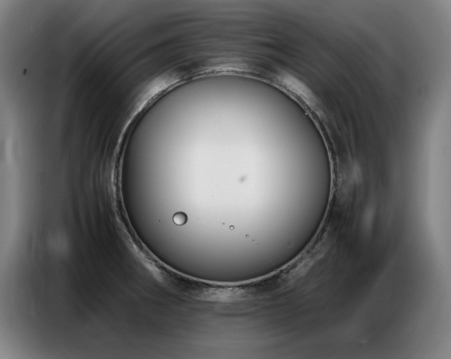 X0000087321282200704201104