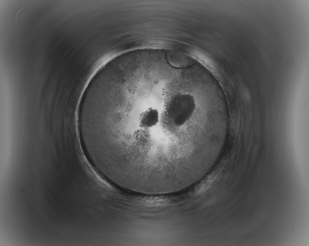 X0000087321283200704201104