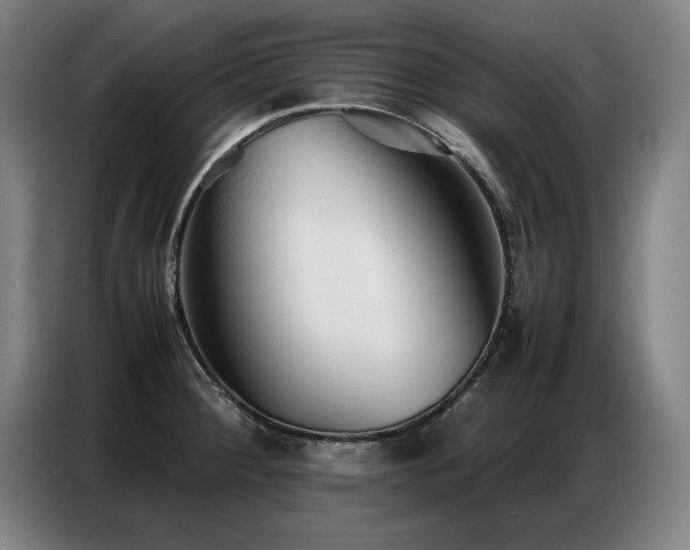 X0000087321284200704201104