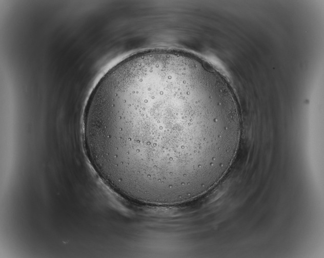X0000087321287200704201104