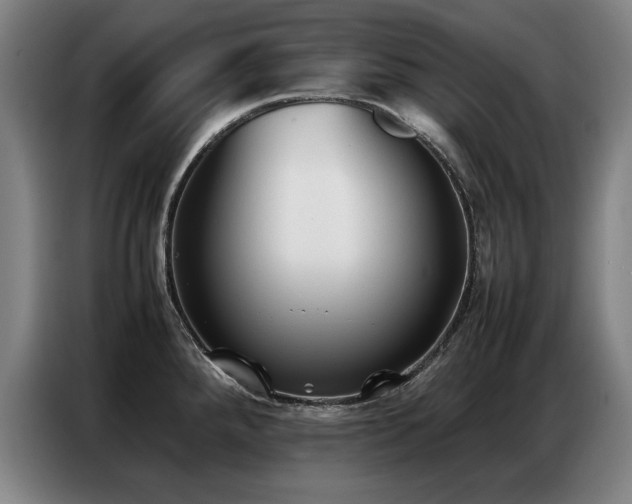 X0000087321288200704201104