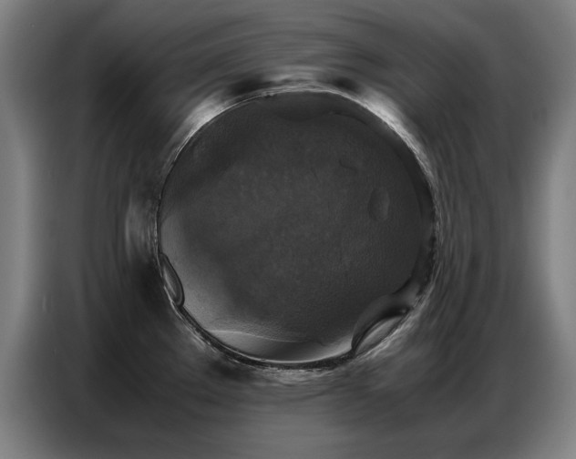 X0000087321289200704201104