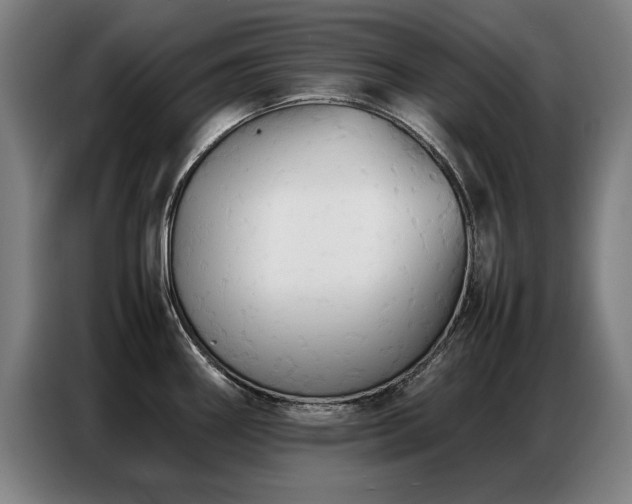 X0000087321290200704201104