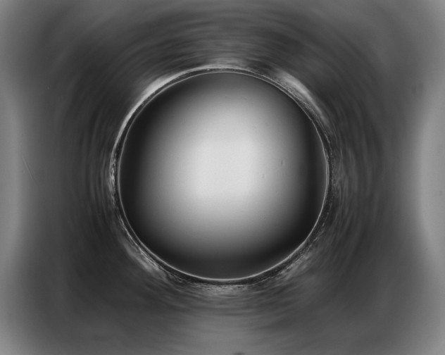 X0000087321292200704201104