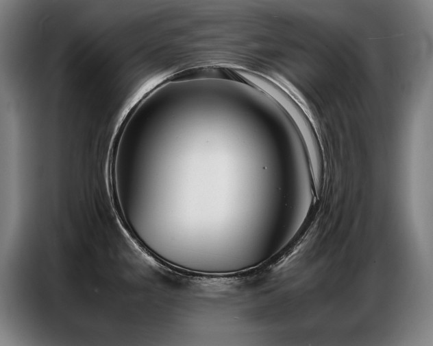 X0000087321293200704201104