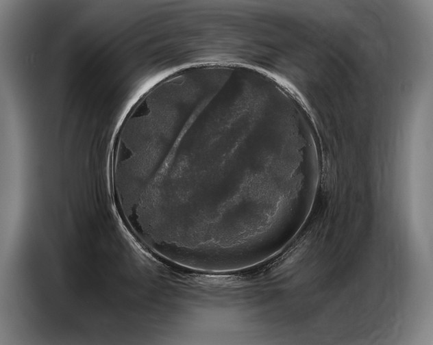 X0000087321295200704201104