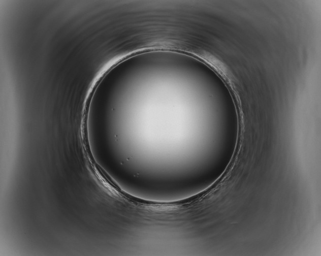 X0000087321296200704201104